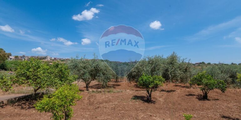 20250703122412-963587-25