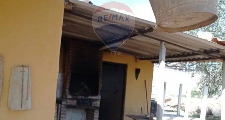 20250707223323-965570-10