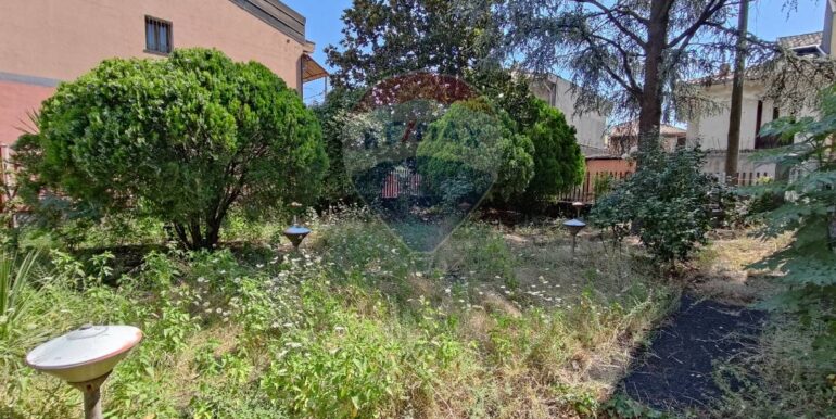 20250708111313-965707-6