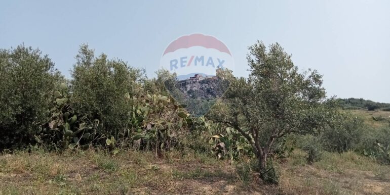 20250718114043-968926-0