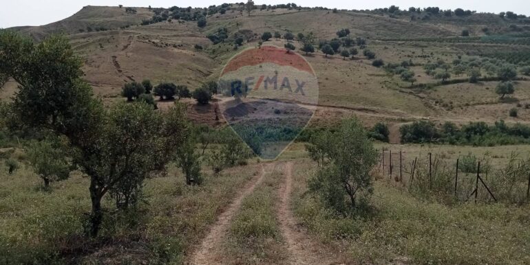 20250718114043-968926-1