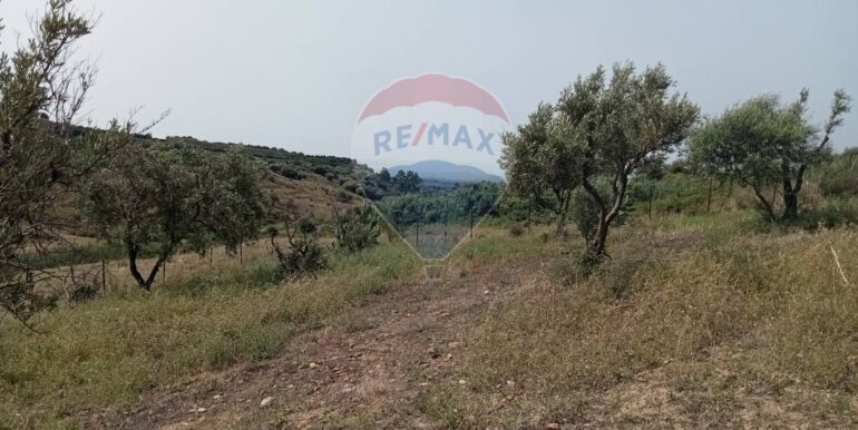 20250718114044-968926-2