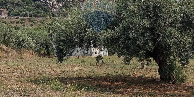 20250718114044-968926-3