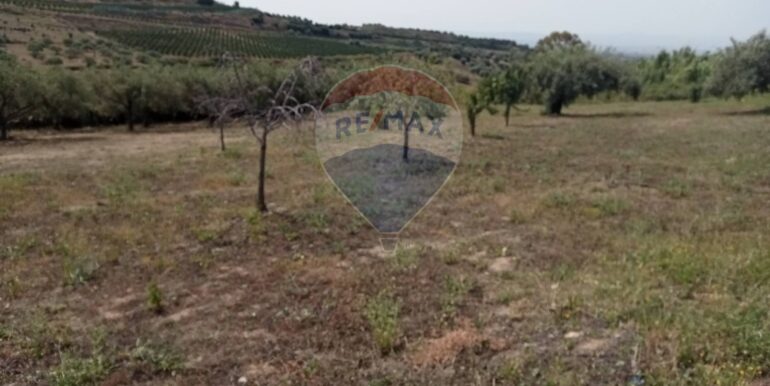 20250718114044-968926-4