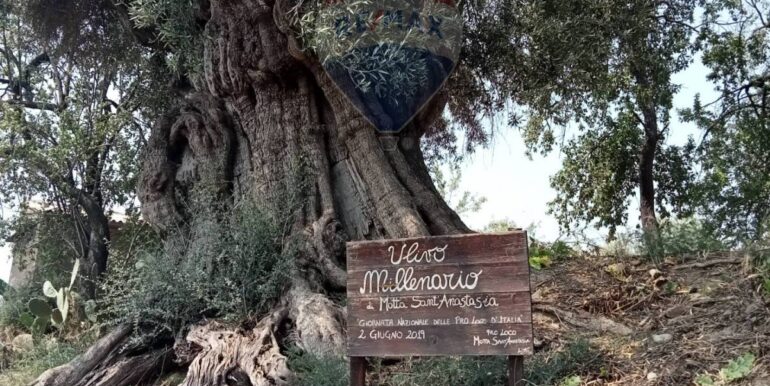 20250718114045-968926-5