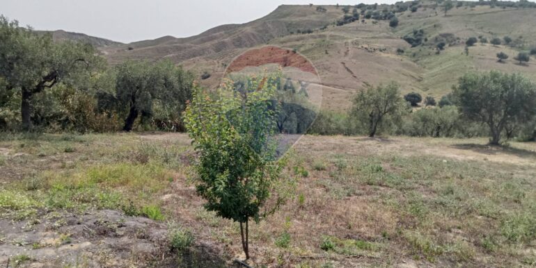 20250718114045-968926-6