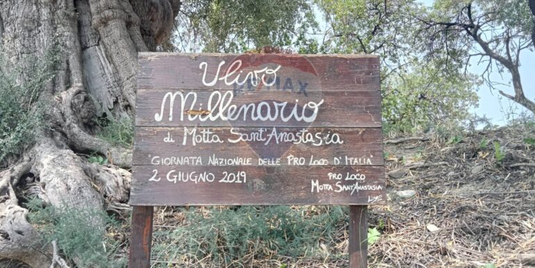 20250718114045-968926-7