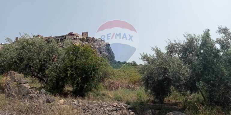 20250718114046-968926-9