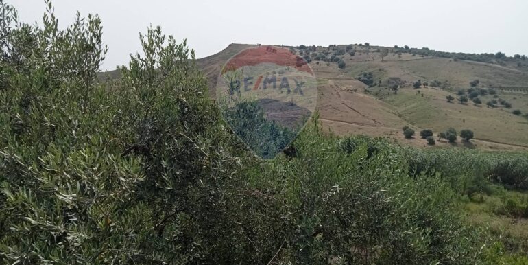 20250718114047-968926-11