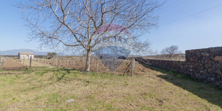 2025072492817-971313-0