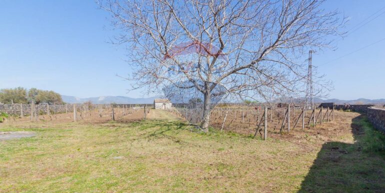 2025072492817-971313-1