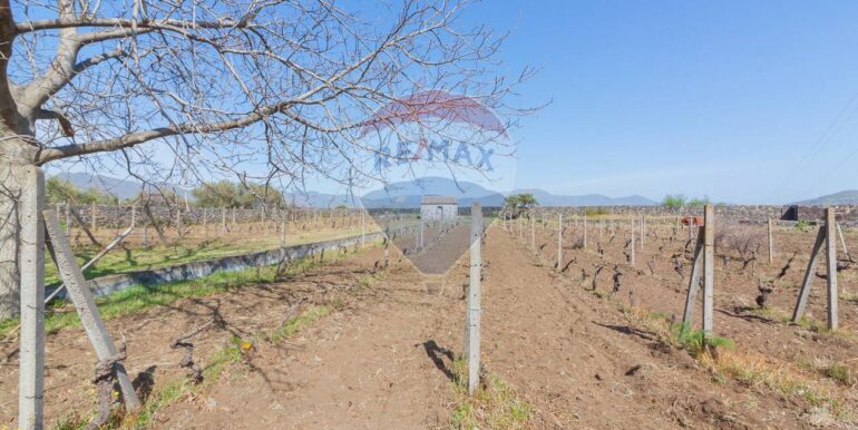 2025072492817-971313-2