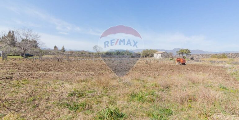 2025072492817-971313-3