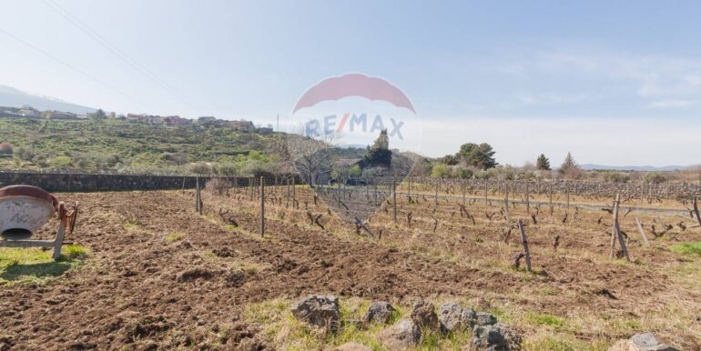 2025072492818-971313-4