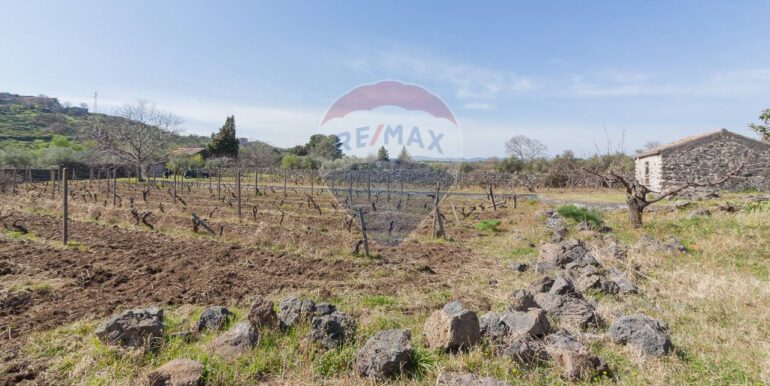 2025072492818-971313-6