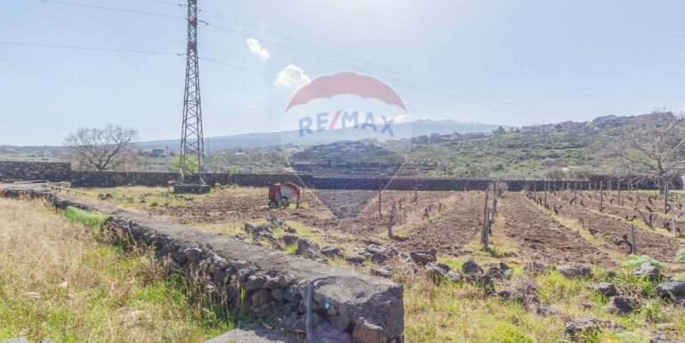 2025072492818-971313-7