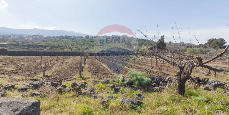 2025072492818-971313-8