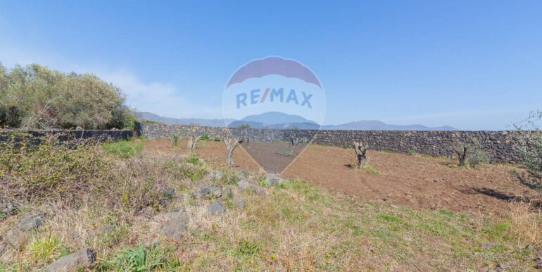 2025072492819-971313-10