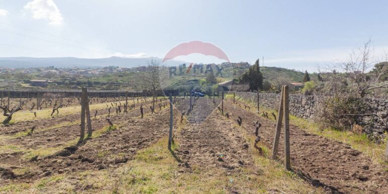 2025072492819-971313-11