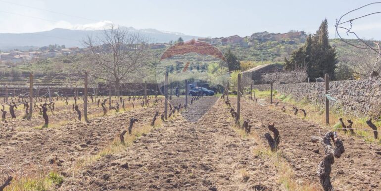 2025072492819-971313-12