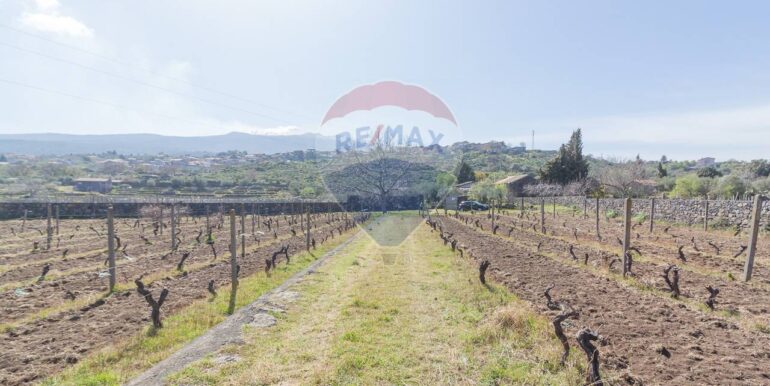 2025072492819-971313-14