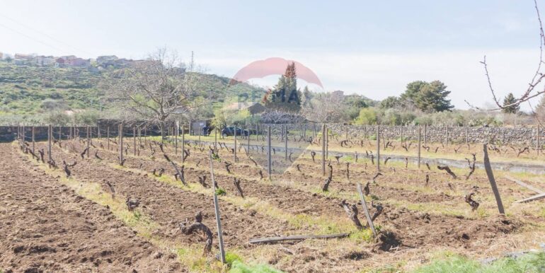 2025072492819-971313-9