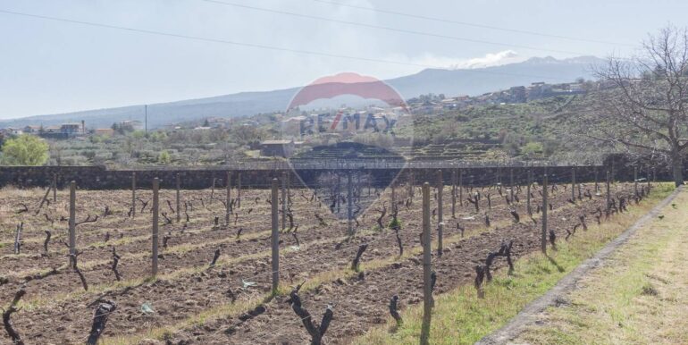 2025072492820-971313-15