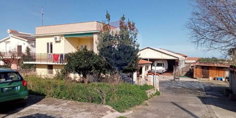 20250123111341-920004-2