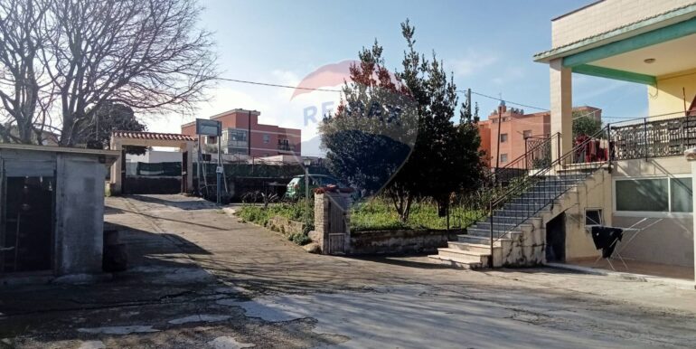 20250123111350-920004-6