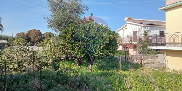 20250123111408-920004-13