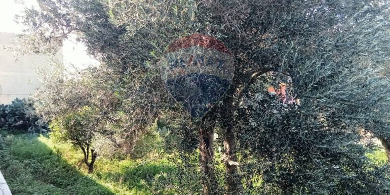 20250123111417-920004-17