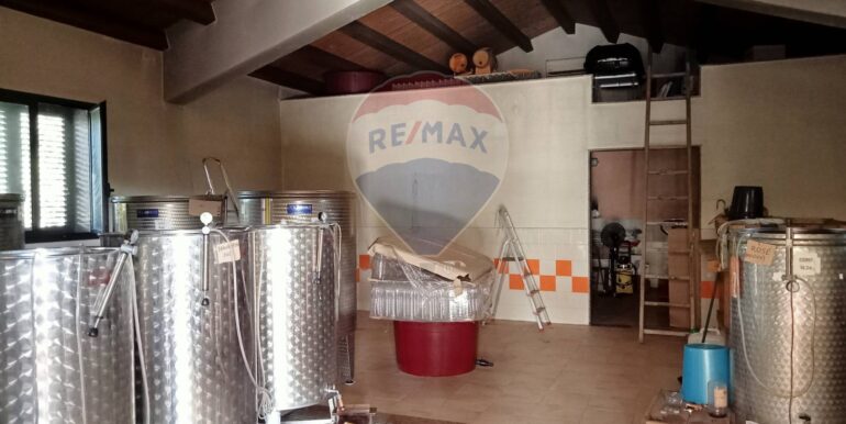 20250123111424-920004-19