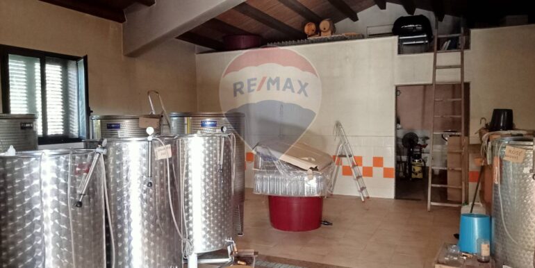 20250123111426-920004-20