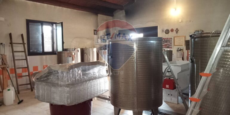 20250123111429-920004-22