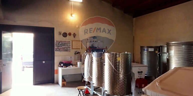 20250123111432-920004-23