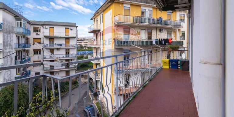 20250206163824-924733-1