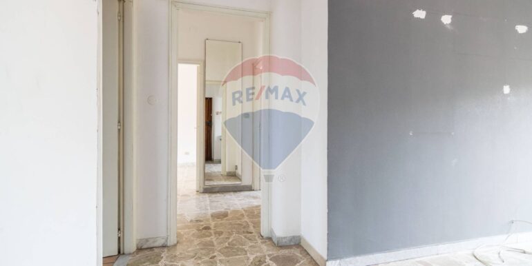 20250220114955-930791-2