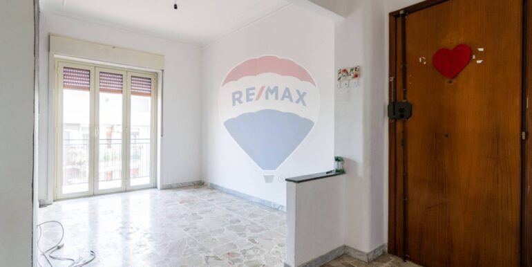 20250220114959-930791-3