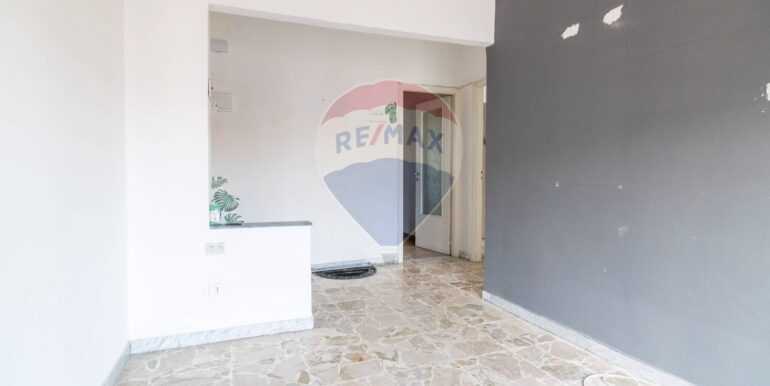 20250220115003-930791-4