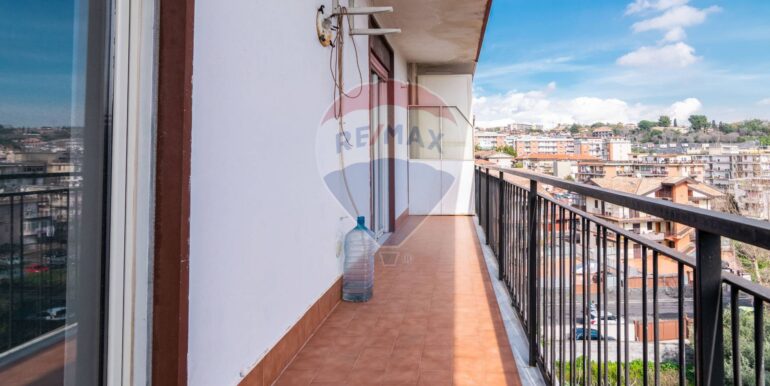 20250220115008-930791-5