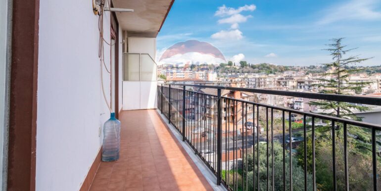 20250220115012-930791-6