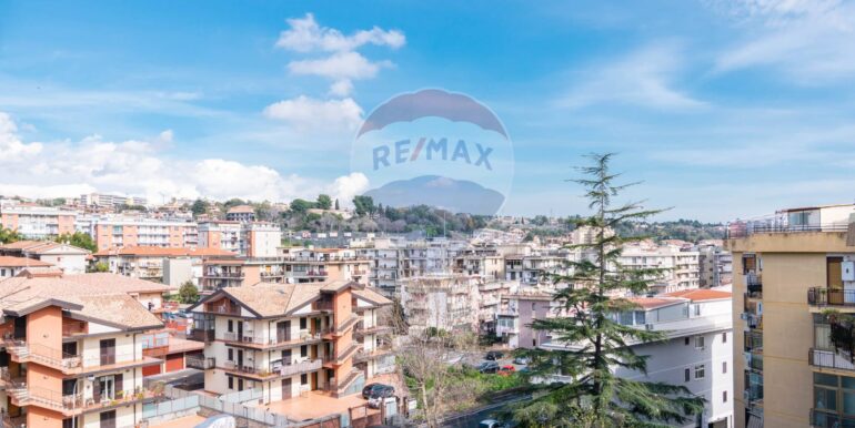 20250220115016-930791-7