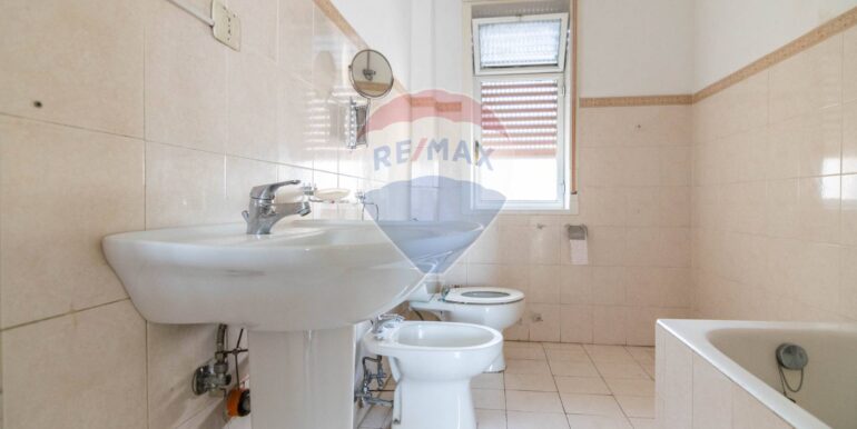 20250220115022-930791-8