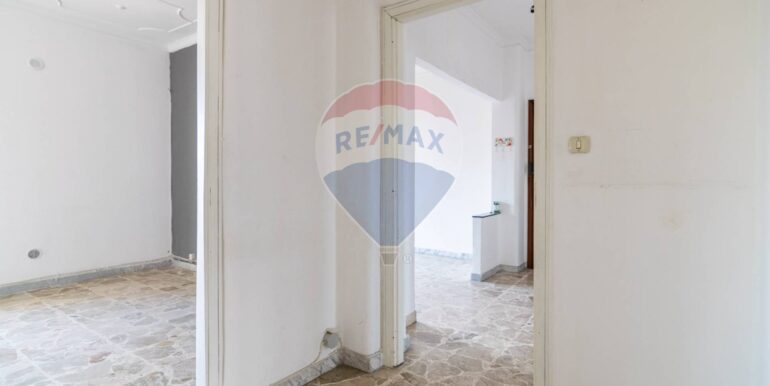 20250220115310-930791-16