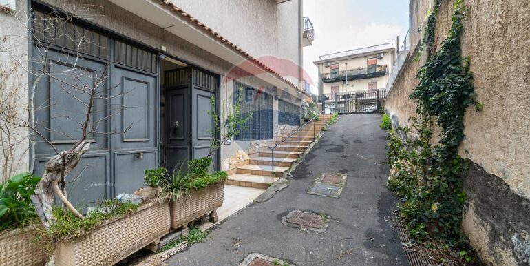 20250224123325-931603-5