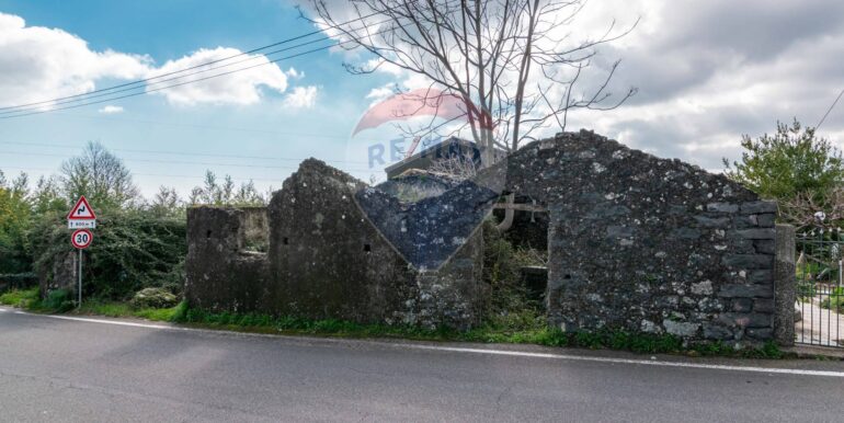 20250307134852-934087-4