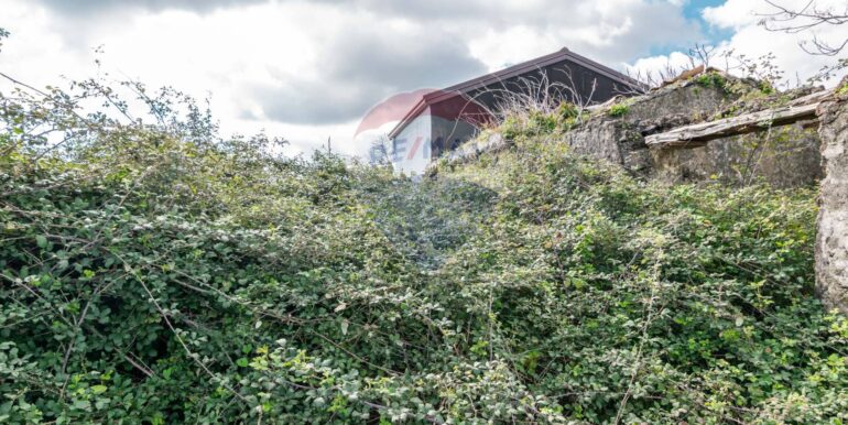 20250307134856-934087-5