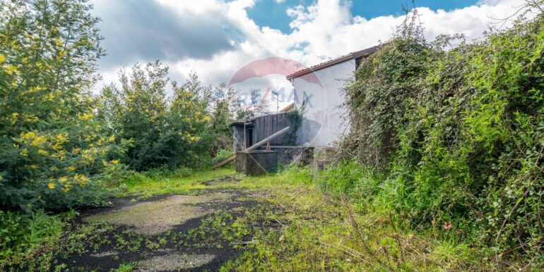 20250307134907-934087-8