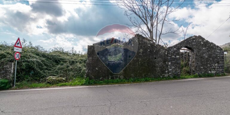 20250307134910-934087-9