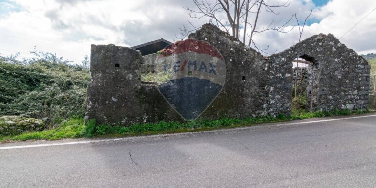 20250307135013-934087-11